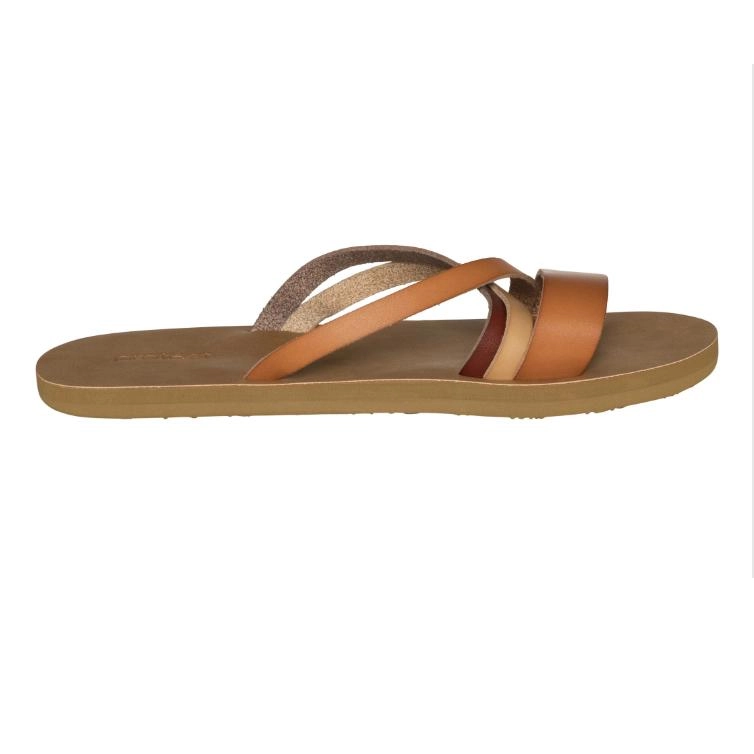 Slipper Protest Women Oyster Slaps Coconut 3 Slipper Protest Women Oyster Slaps Coconut - Afbeelding 3