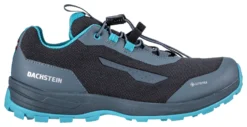 Wandelschoen Dachstein Women Delta Rise 2.0 GTX Middle Grey