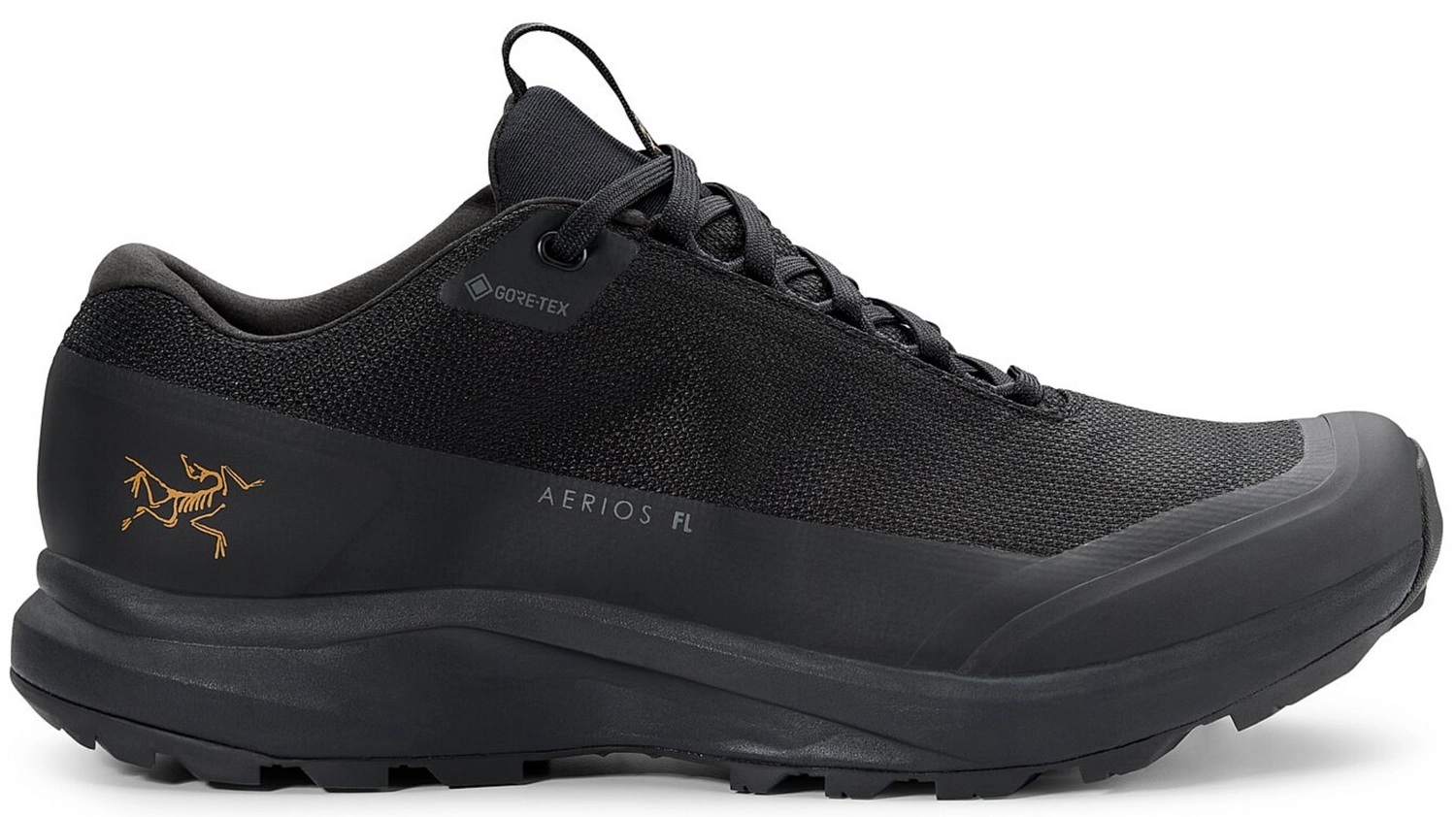 Arc'teryx Wandelschoen Arcteryx Women Aerios FL 2 GTX Black Black 1 Arc'teryx Wandelschoen Arcteryx Women Aerios FL 2 GTX Black Black